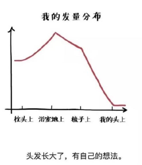 脱发人的自救指南，我知道你肯定很需要