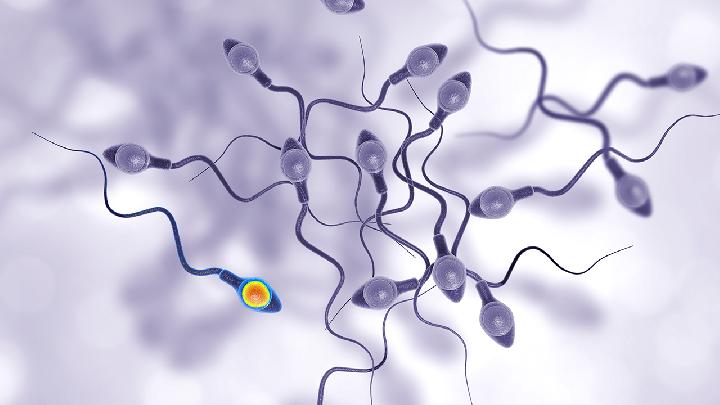 男科检查精子报告需要多久